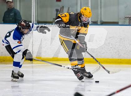 Thumbnail 2 in Carmel vs. Libertyville photogallery.
