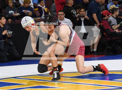 Thumbnail 3 in CIF State Girls Wrestling Championships (SemiFinals) photogallery.