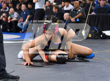 Thumbnail 1 in CIF State Girls Wrestling Championships (SemiFinals) photogallery.