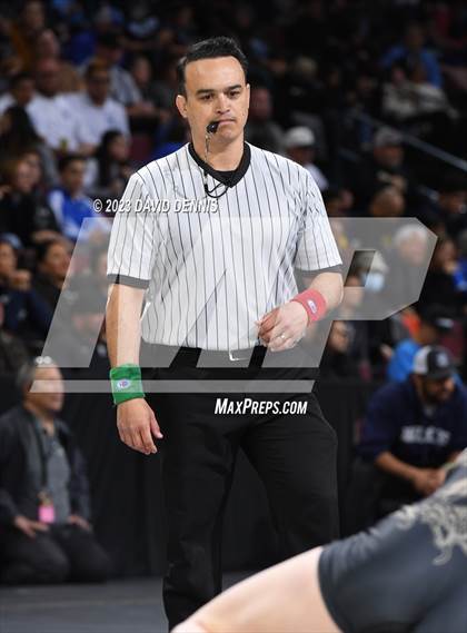Thumbnail 2 in CIF State Girls Wrestling Championships (SemiFinals) photogallery.
