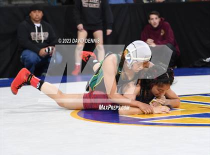 Thumbnail 3 in CIF State Girls Wrestling Championships (SemiFinals) photogallery.