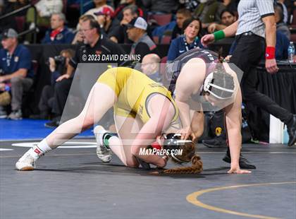 Thumbnail 2 in CIF State Girls Wrestling Championships (SemiFinals) photogallery.