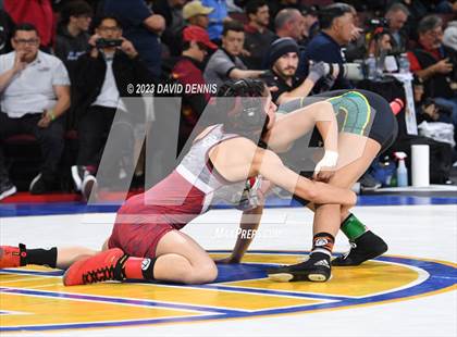 Thumbnail 1 in CIF State Girls Wrestling Championships (SemiFinals) photogallery.