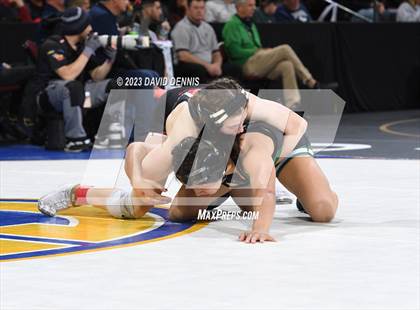 Thumbnail 1 in CIF State Girls Wrestling Championships (SemiFinals) photogallery.
