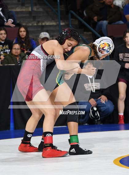 Thumbnail 1 in CIF State Girls Wrestling Championships (SemiFinals) photogallery.