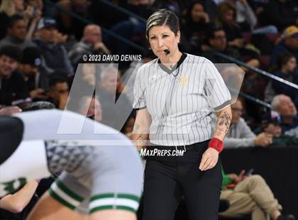 Thumbnail 2 in CIF State Girls Wrestling Championships (SemiFinals) photogallery.