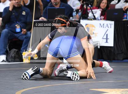 Thumbnail 3 in CIF State Girls Wrestling Championships (SemiFinals) photogallery.