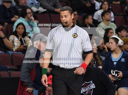 Thumbnail 1 in CIF State Girls Wrestling Championships (SemiFinals) photogallery.