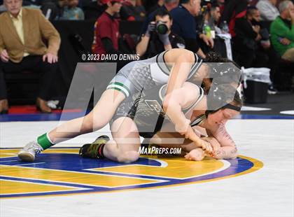 Thumbnail 1 in CIF State Girls Wrestling Championships (SemiFinals) photogallery.
