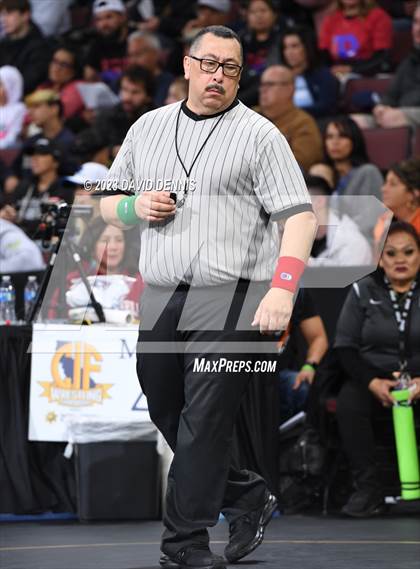 Thumbnail 3 in CIF State Girls Wrestling Championships (SemiFinals) photogallery.