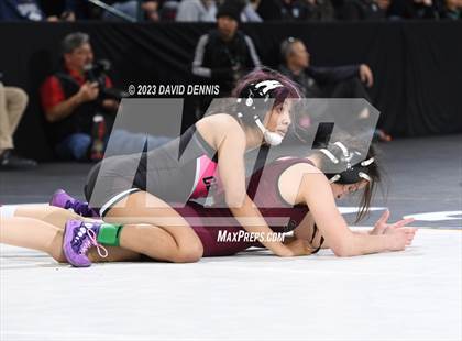 Thumbnail 1 in CIF State Girls Wrestling Championships (SemiFinals) photogallery.