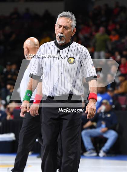 Thumbnail 2 in CIF State Girls Wrestling Championships (SemiFinals) photogallery.