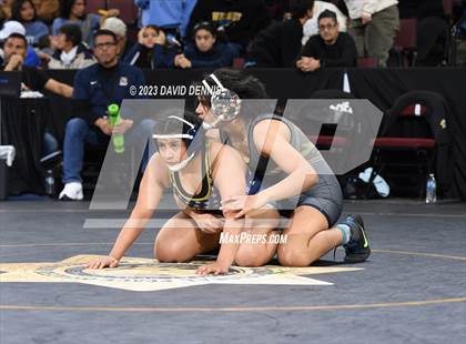 Thumbnail 3 in CIF State Girls Wrestling Championships (SemiFinals) photogallery.