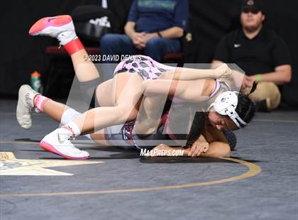 Thumbnail 1 in CIF State Girls Wrestling Championships (SemiFinals) photogallery.