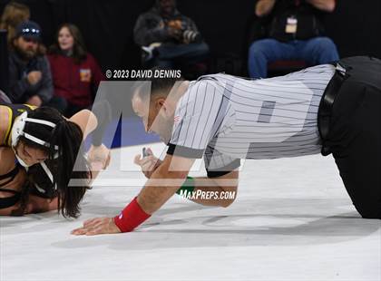 Thumbnail 3 in CIF State Girls Wrestling Championships (SemiFinals) photogallery.