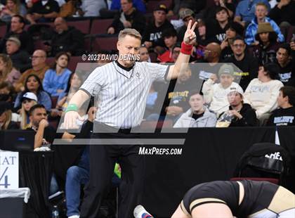 Thumbnail 1 in CIF State Girls Wrestling Championships (SemiFinals) photogallery.