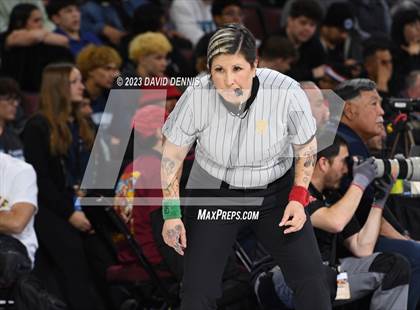 Thumbnail 1 in CIF State Girls Wrestling Championships (SemiFinals) photogallery.