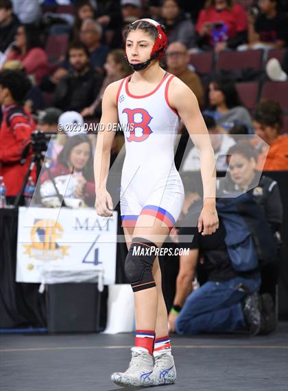 Thumbnail 1 in CIF State Girls Wrestling Championships (SemiFinals) photogallery.