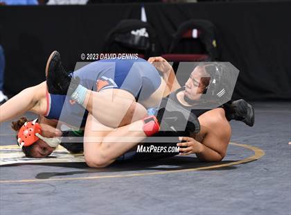Thumbnail 1 in CIF State Girls Wrestling Championships (SemiFinals) photogallery.