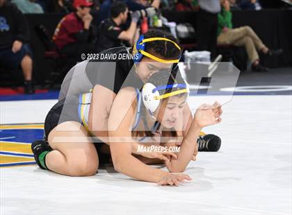 Thumbnail 1 in CIF State Girls Wrestling Championships (SemiFinals) photogallery.