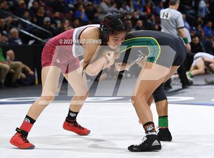 Thumbnail 2 in CIF State Girls Wrestling Championships (SemiFinals) photogallery.