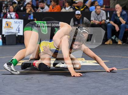 Thumbnail 2 in CIF State Girls Wrestling Championships (SemiFinals) photogallery.