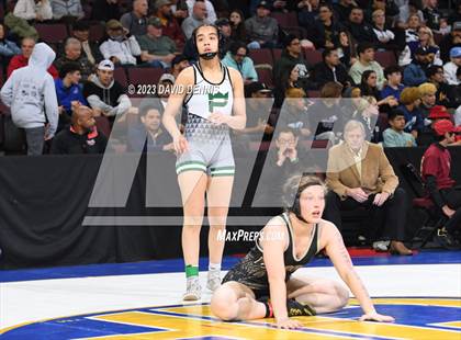 Thumbnail 2 in CIF State Girls Wrestling Championships (SemiFinals) photogallery.
