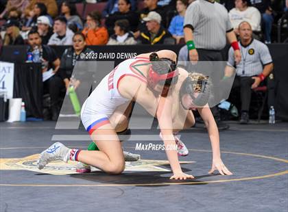 Thumbnail 1 in CIF State Girls Wrestling Championships (SemiFinals) photogallery.