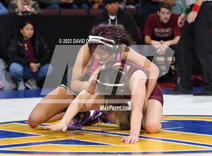 Thumbnail 2 in CIF State Girls Wrestling Championships (SemiFinals) photogallery.