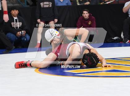 Thumbnail 2 in CIF State Girls Wrestling Championships (SemiFinals) photogallery.