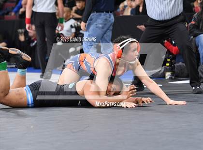 Thumbnail 3 in CIF State Girls Wrestling Championships (SemiFinals) photogallery.