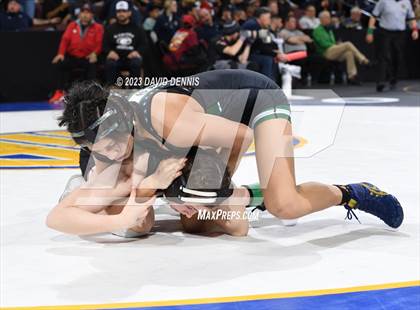 Thumbnail 3 in CIF State Girls Wrestling Championships (SemiFinals) photogallery.