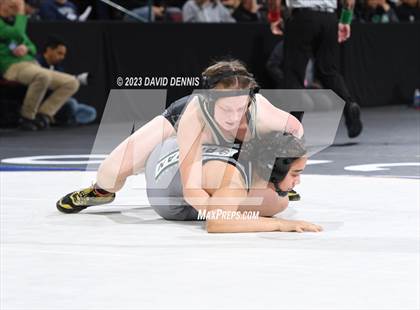 Thumbnail 1 in CIF State Girls Wrestling Championships (SemiFinals) photogallery.