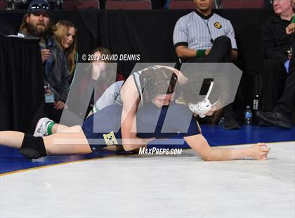 Thumbnail 3 in CIF State Girls Wrestling Championships (SemiFinals) photogallery.