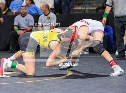 Thumbnail 3 in CIF State Girls Wrestling Championships (SemiFinals) photogallery.