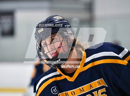Thumbnail 3 in Webster Thomas @ Fairport photogallery.