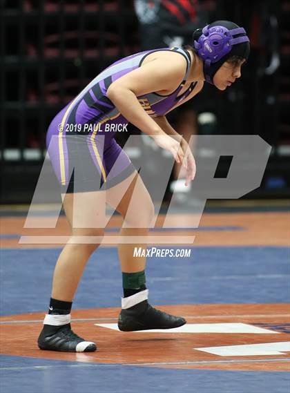 Thumbnail 3 in UIL 4A Regional Wrestling Championships  photogallery.