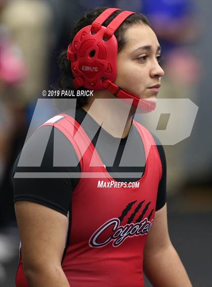 Thumbnail 2 in UIL 4A Regional Wrestling Championships  photogallery.