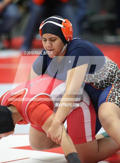 Thumbnail 3 in UIL 4A Regional Wrestling Championships  photogallery.
