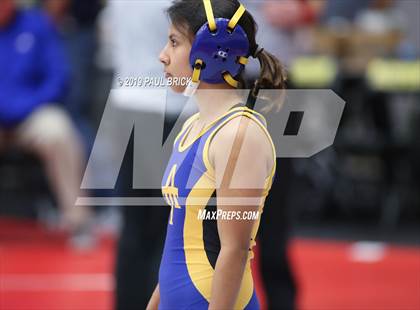 Thumbnail 2 in UIL 4A Regional Wrestling Championships  photogallery.