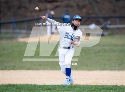 Thumbnail 3 in Archbishop Molloy @ Xaverian photogallery.