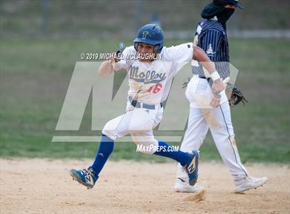 Thumbnail 3 in Archbishop Molloy @ Xaverian photogallery.