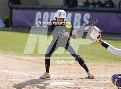 Thumbnail 3 in Montgomery vs. Rock Hill (NFCA Texas Leadoff Classic) photogallery.