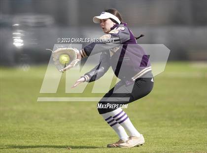 Thumbnail 1 in Montgomery vs. Rock Hill (NFCA Texas Leadoff Classic) photogallery.