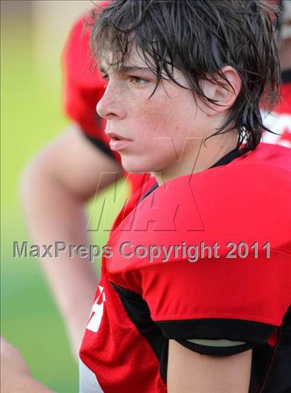 Thumbnail 2 in St Bernard/NorwichTech @ Fitch photogallery.