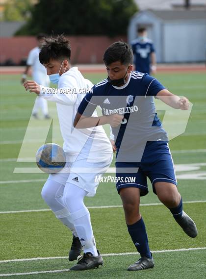 Thumbnail 1 in Arroyo @ Gabrielino photogallery.