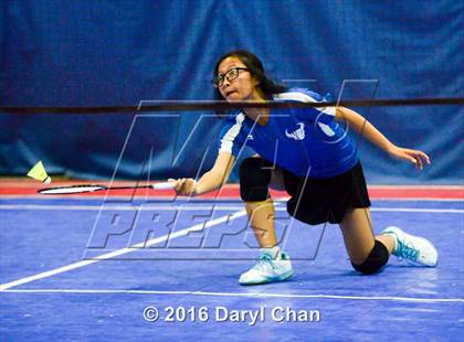 Thumbnail 1 in Almont League Badminton Finals photogallery.