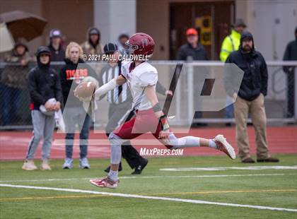 Thumbnail 1 in Okanogan vs. Napavine (WIAA 2B Semifinal) photogallery.