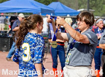 Thumbnail 1 in Liverpool vs. East Meadow (NYSPHSAA Class AA Final) photogallery.