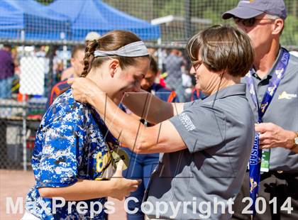 Thumbnail 1 in Liverpool vs. East Meadow (NYSPHSAA Class AA Final) photogallery.